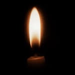 walid_alquds profile picture