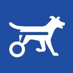 walkinpets profile picture