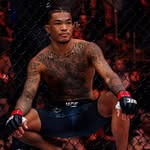 wallathemachine profile picture