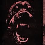 walliethesensei profile picture