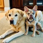 wallys_n_liloz_adventures_ profile picture