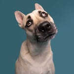 waltersnaks profile picture
