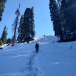wanderer_beardo profile picture