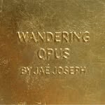 wanderingopus profile picture