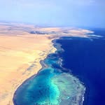 wanderlust.in.egypt profile picture