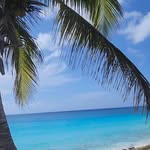 wanderlusttraveledit profile picture