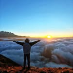 wanderwithdanu profile picture