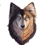 wander_with_willow profile picture