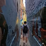 wangchuk1353 profile picture