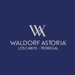 wapedregal profile picture