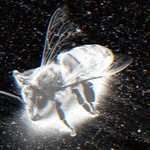warchantrecords profile picture