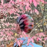 ward.roberts profile picture