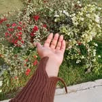 wardaa19261 profile picture
