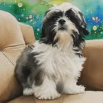 warriersreevidhya profile picture