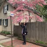 washabibi7 profile picture