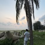 wasiftahir0 profile picture