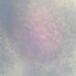 watanabetakayuki_ profile picture