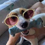 waterhungrymemes profile picture