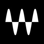 wavesaudio profile picture