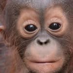 wayanbo2020 profile picture