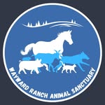 waywardranchanimals profile picture