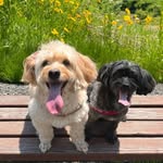 we.r.bingbong_pooh_ profile picture