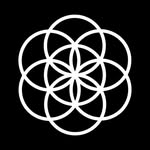 we____ball profile picture