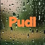 wearepudl profile picture
