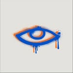 wearsbrivision profile picture