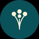 weddingwire profile picture