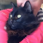 weeble_and_friends profile picture