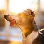 weeztheig profile picture