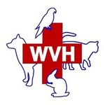 wellingtonveterinary profile picture