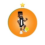 welovemaracana profile picture