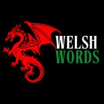 welshwordsofficial profile picture