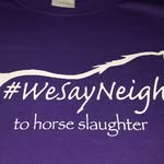wesayneigh profile picture