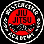 westchesterjjacademy profile picture