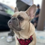 westcoasthueso profile picture