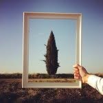 whatitalyis profile picture