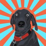 whattup_waylon profile picture