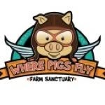 wherepigsflyfarmsanctuary profile picture