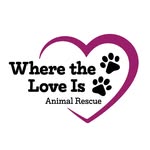 wheretheloveisanimalrescue profile picture
