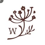 whimevents profile picture