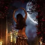 whimsicalfindings profile picture