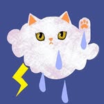 whimsycalling profile picture