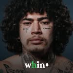 whincbd profile picture