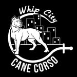 whip.citycc profile picture