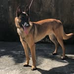 whiskcoco profile picture