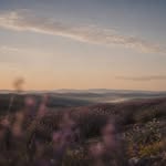 whispersofnaturequotes profile picture