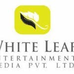 whiteleafent profile picture